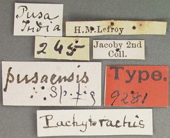 Media type: image; Entomology 9281   Aspect: labels